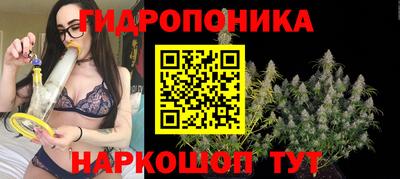 стаф Балашиха