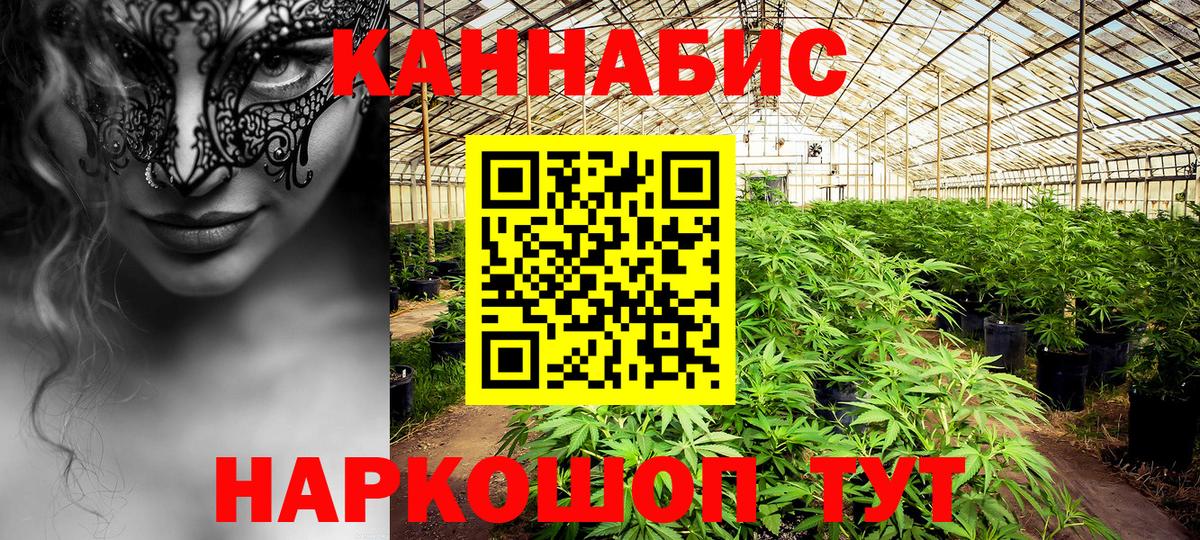 Бошки марихуана Bruce Banner Гай